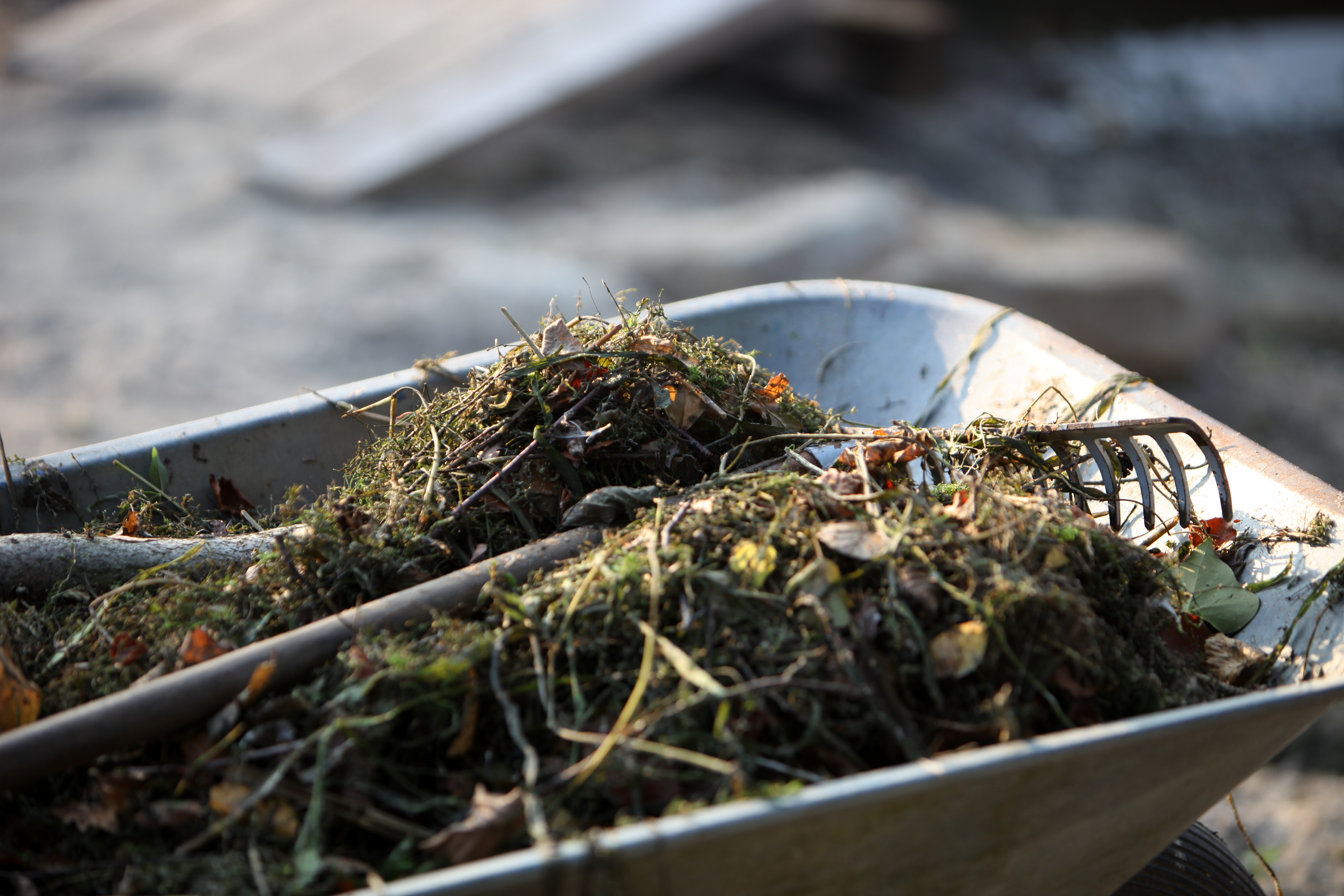 CC BY-SA 2.0 greensheepred